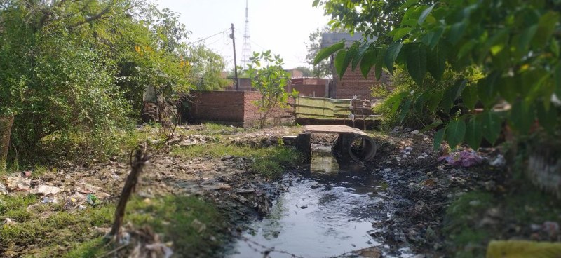 मेरा वार्ड मेरा एजेंडा- जर्जर और कच्ची सड़कों में हो रही पाइप लाइन लीकेज वार्ड वासियों के लिए बना परेशानी का कारण