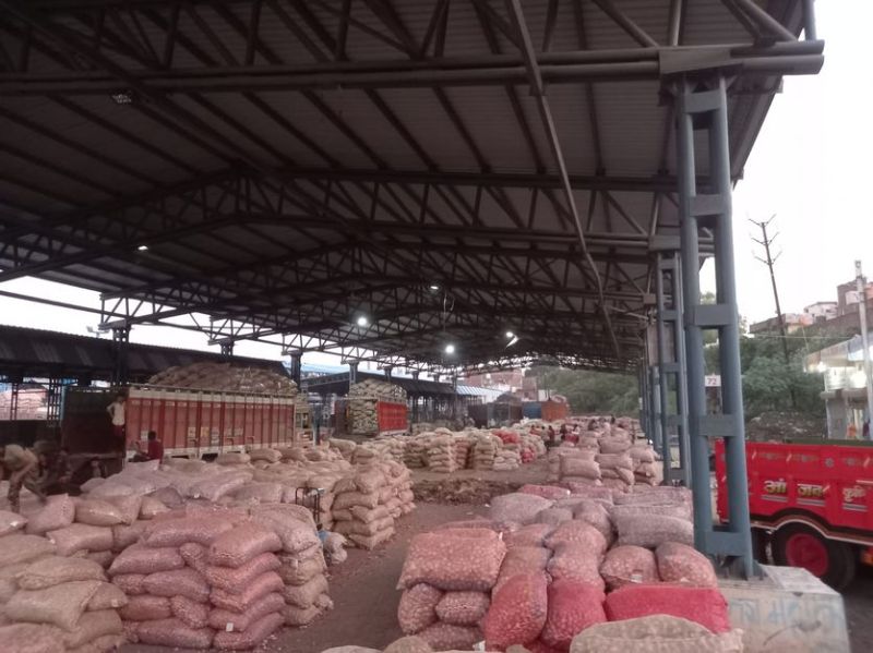 Grough Onion uses increase price in Ujjain MP