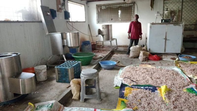 Onion reprocessing to chips and powder in Ujjain MP