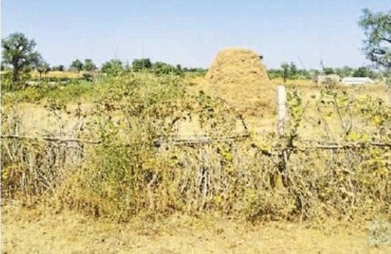 हीरा की ढाणी. खारड़ा चारणेत -दानपूरा सड़क मार्ग के पास खेत में घास फूस से बनी’ हे ’।