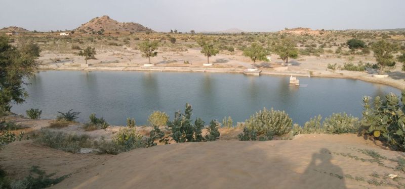 200 घरों के पशुओं की हलक तर कर रहा बनवा मॉडल तालाब