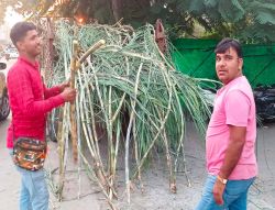 सांवेर क्षेत्र में हर्षोल्लास से मनेगा आज दीपावली का त्योहार - image