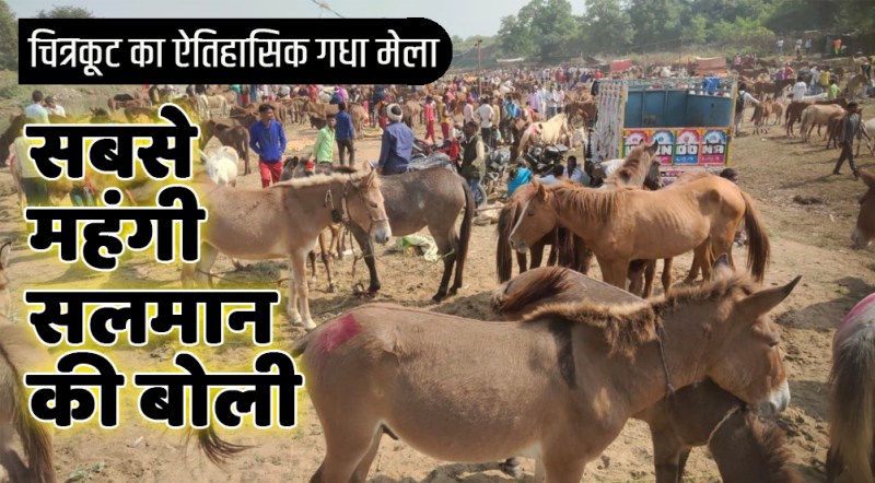 chitrakoot: धर्मनगरी में 90 हजार लगी शाहरुख की बोली, 2 लाख में बिक गया सलमान