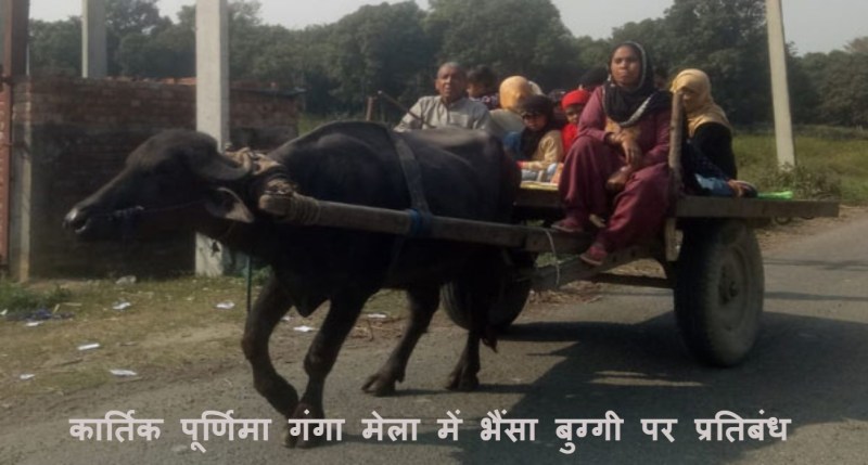 Kartik Purnima Ganga Mela : गढमुक्तेश्वर कार्तिक पूर्णिमा गंगा मेला में भैंसा बुग्गी पर प्रतिबंध, ग्रामीणों में रोष