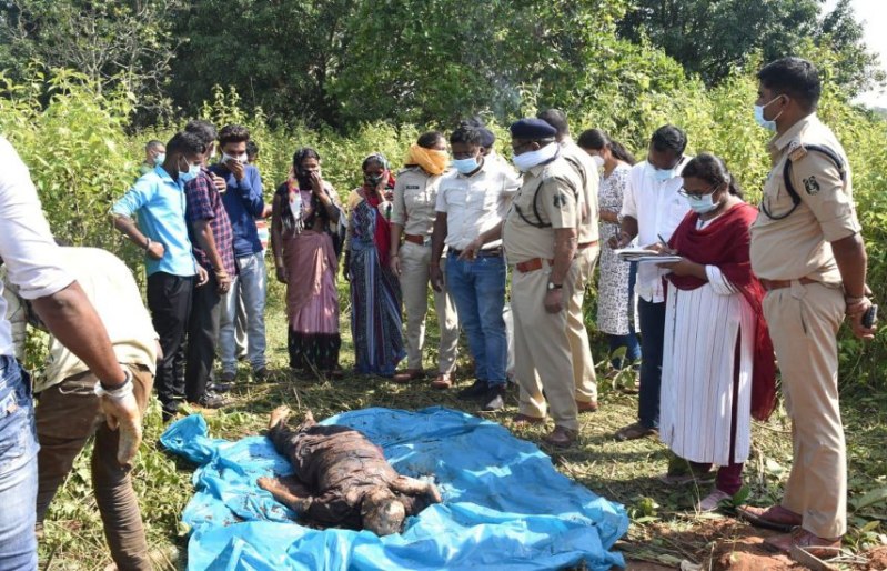 एक महीने से लापता महिला का शव बरामद