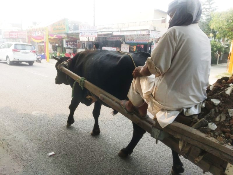 Garh Ganga Mela : गंगा स्नान मेला में भैंसा बुग्गी रोक पर केंद्रीय मंत्री ने अपनाया कड़ा रूख,कही ये बड़ी बात