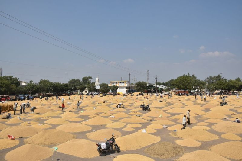 6 दिनों के बाद खुली कृषि उपज मंडी, हुए मुहूर्त के सौदें