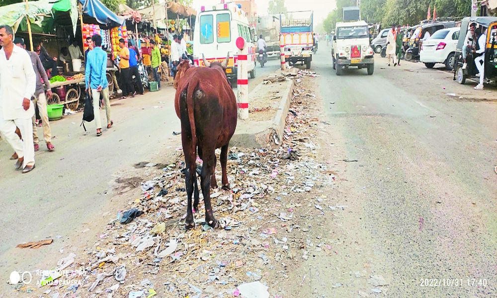 स्टेट हाइवे पर लगे गंदगी के ढेर