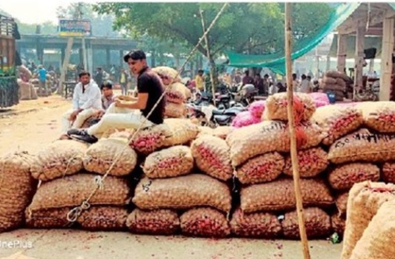 Arrivals of new onion started in Alwar district