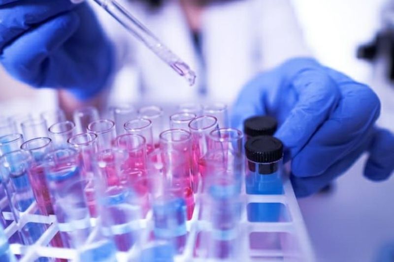 बाड़मेर में नहीं है डेंगू का उपचार, प्लेटलेट कम होते ही रैफर