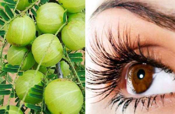 amla_benefits_for_eyes.jpg