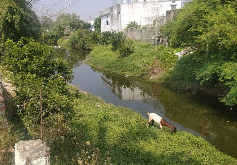 नदी किनारे कॉलोनियों के विकसित होने से खतरे में ‘धमनी’ का अस्तित्व