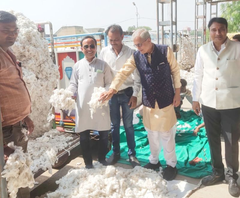 कम भाव मिलने के कारण मंडी तक नहीं आ रहा कपास