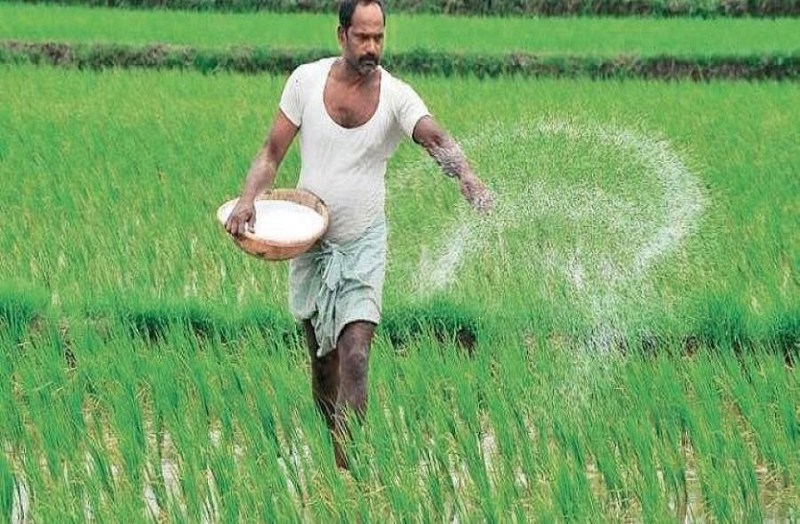 Rajasthan Kharif Crop Production 2022: राजस्थान का किसान हुआ खुश, भारी बारिश के बावजूद बंपर पैदावार