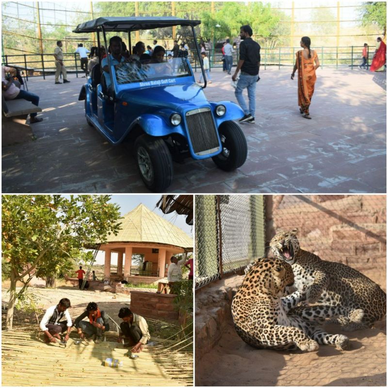माचिया जैविक उद्यान में गोल्फ कार्ट सुविधा शुरू, जानें और क्या क्या होगा खास