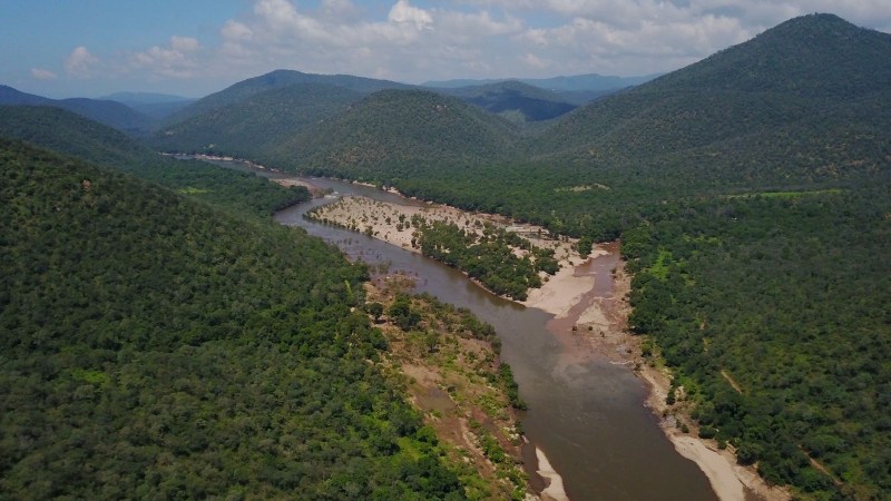 TN :68 हजार हेक्टेयर का होगा कावेरी दक्षिणी वन्यजीव अभयारण्य