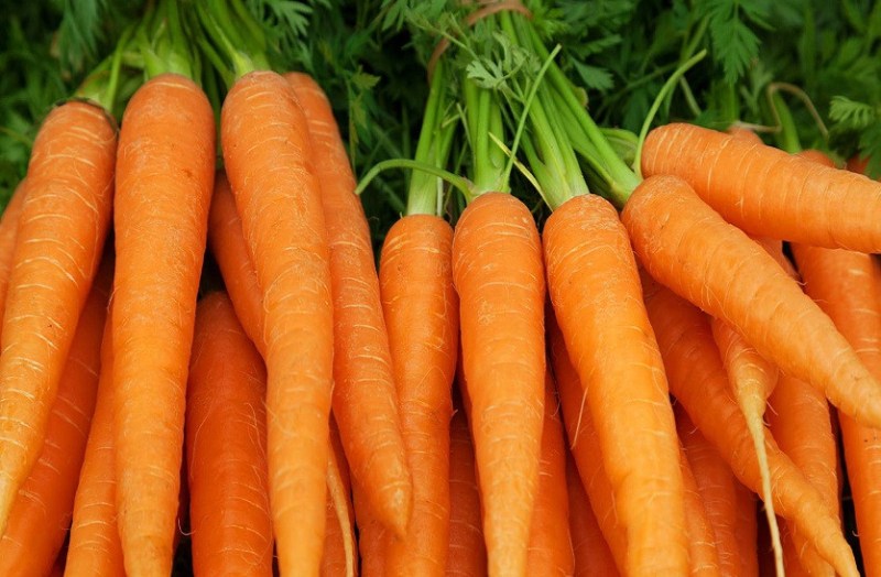 carrot.jpg