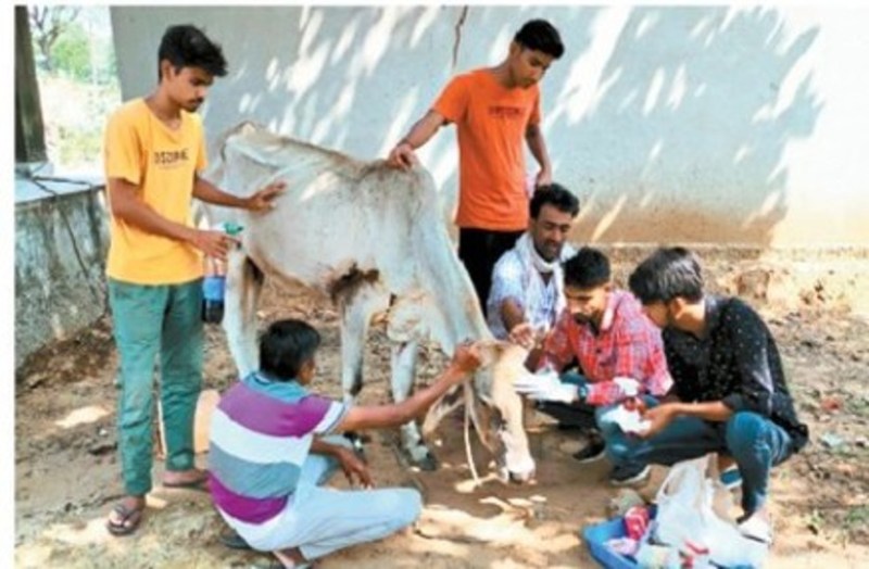 youth of Sonthali village treat injured animals for free