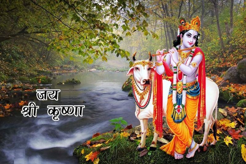 श्रीकृष्ण का पसंदीदा मार्गशीर्ष मास शुरू, 8 दिसम्बर तक व्रत- उत्सव की बहार