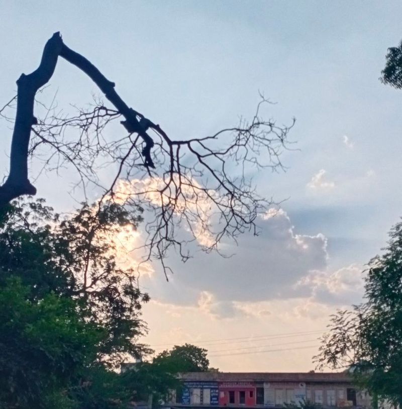 तीन बाद सर्दी के तेवर होंगे तेज, पारा 12 डिग्री तक जाएगा नीचे