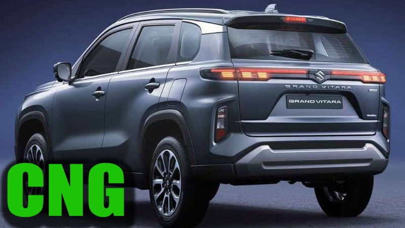 grand_vitara_cng.jpg
