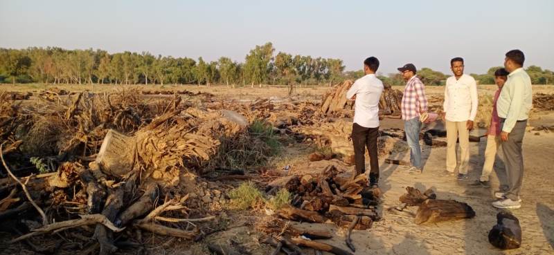 Video: लकड़ी का कोयला बना कर बेचा, वन विभाग व उपनिवेशन विभाग ने की संयुक्त कार्यवाही