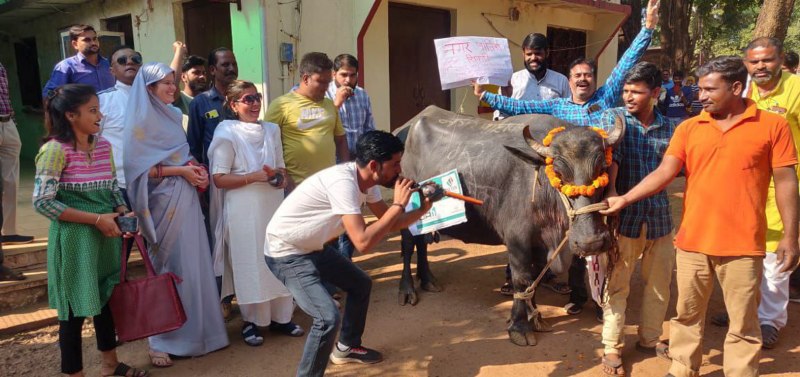 पार्षदों ने नपा परिसर में भैंस के आगे बजाई बीन