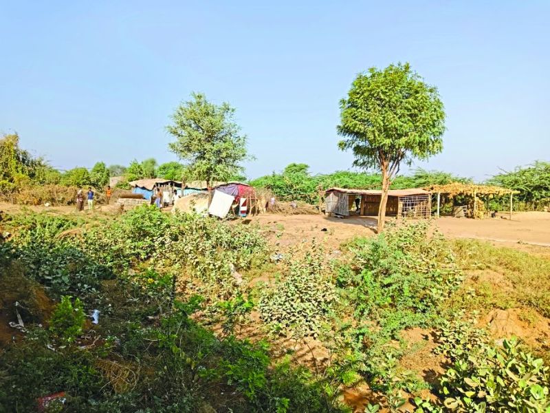 Electricity: आजादी के 75 साल बाद भी अंधेरे में डूबा है यह गांव