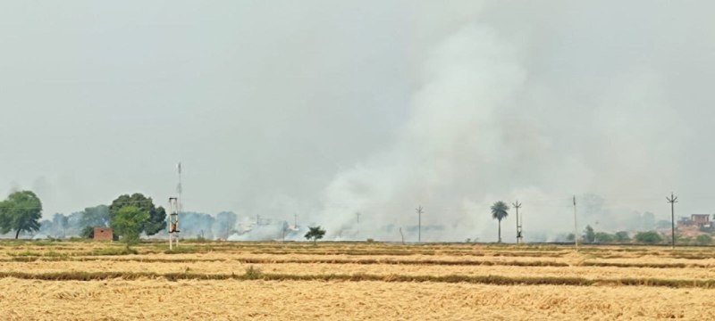 नरवाई जलाने वालों से वसूला जाएगा 25 सौ और 5 हजार रुपए पर्यावरणीय नुकसान