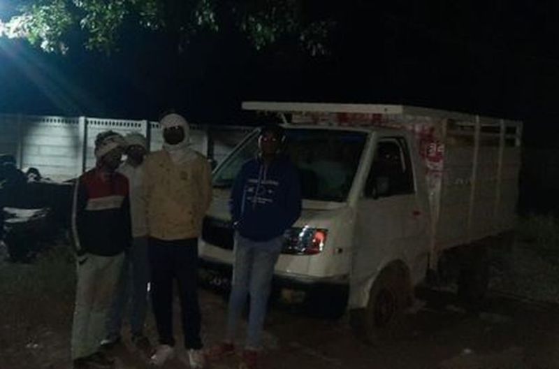 Forest Department, Dabish, Wood, Toll, Vehicle, Traders, Katni News