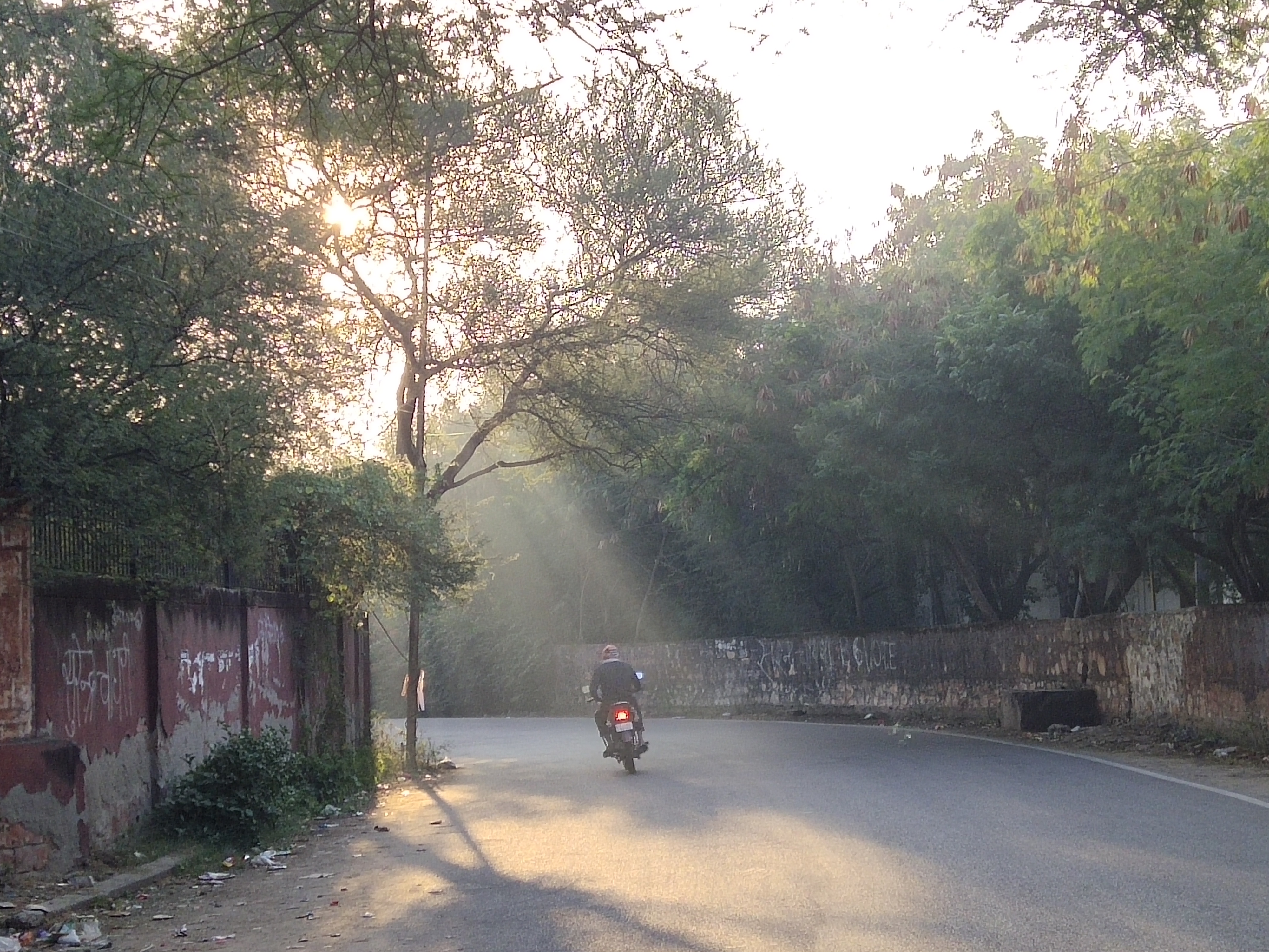 सर्द हवाओं से होने लगा कड़ाके की सर्दी का अहसास