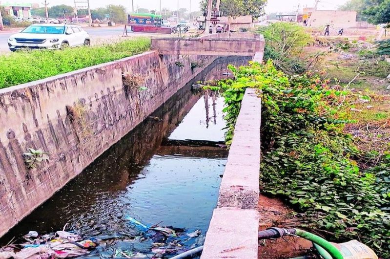 सावधान: कही आपके घर तो नहीं पहुंच रही नाले के दूषित पानी से सब्जी ...