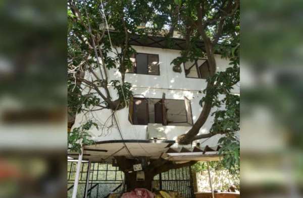 tree_home_in_udaipur2.jpg