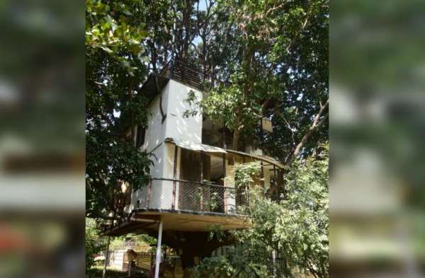 tree_home_in_udaipur3.jpg