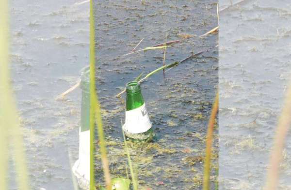 तस्वीरों में देखें world famous रामसर साइट बन गई नशेडिय़ों का अड्डा, गंदा हो रहा विदेशी पक्षियों का घर