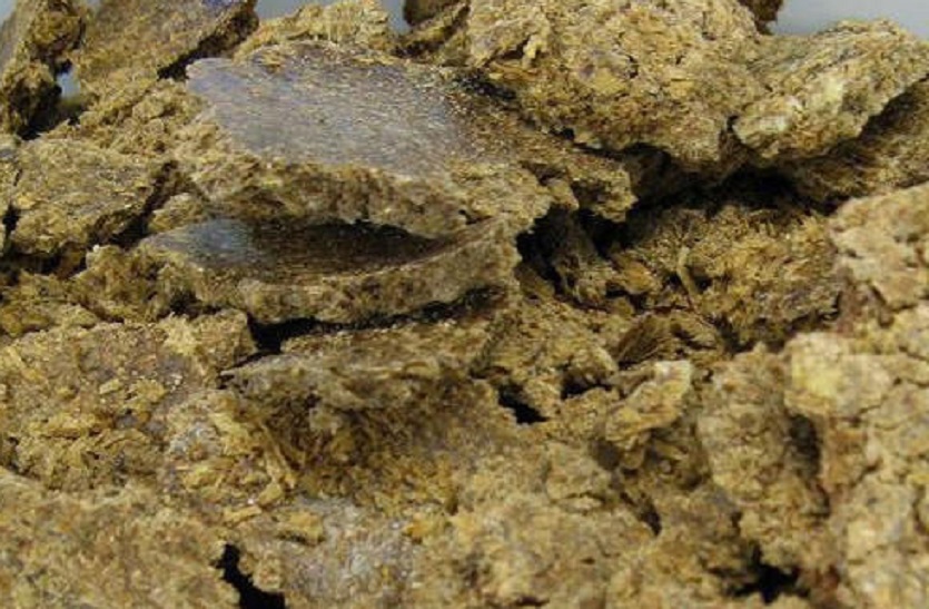 बिनौला खल में लंबी तेजी के आसार नहीं