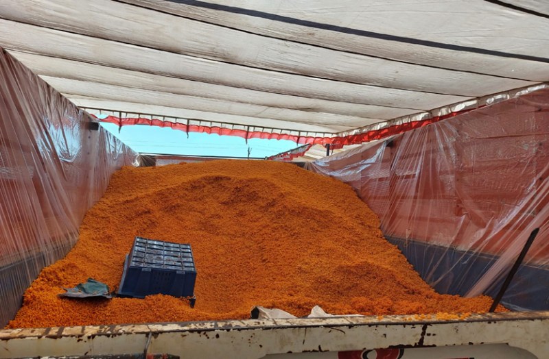 Bageshwar Dham story