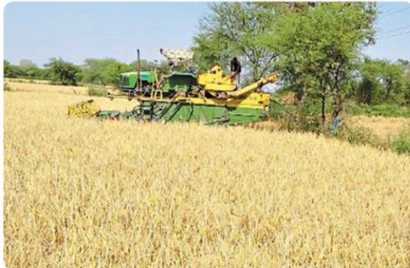 बदल रहा खेती-किसानी का रंग : हार्वेस्टर से धान की कटाई-मिंजाई जोरों पर, पुरानी को छोड़ किसान अपना रहे नए तरीके