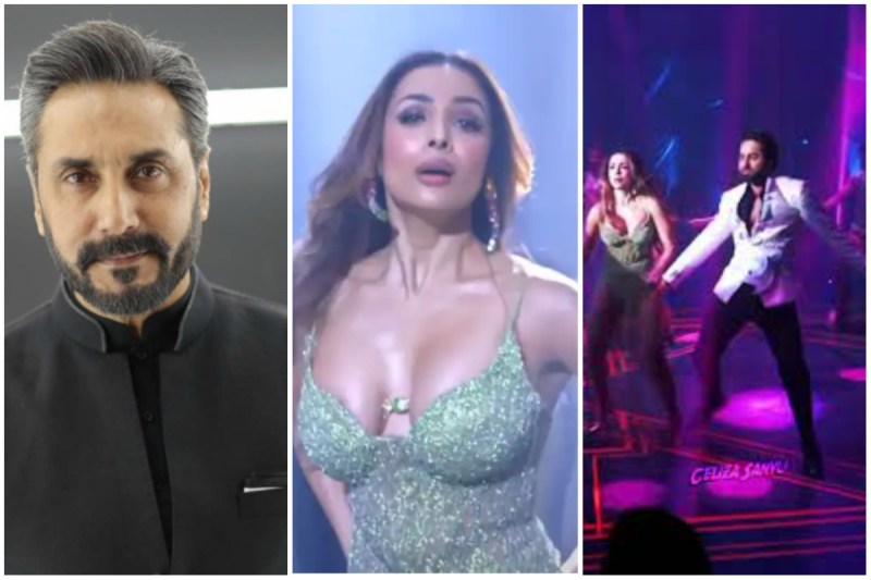 pakistani_actor_adnan_siddiqui_slams_malaika_arora_song_aap_jaisa_koi_an_action_hero.jpg