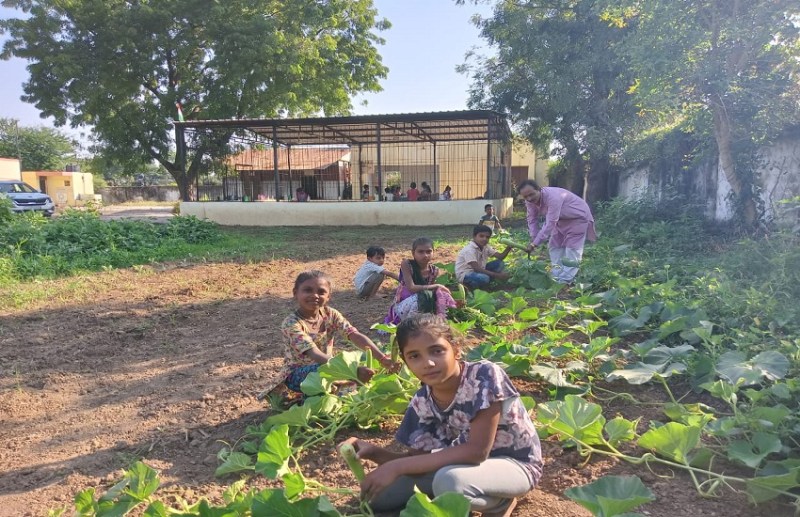 वडोदरा के स्कूल में 21वें साल चौहाण ने लगाया सब्जी का बगीचा