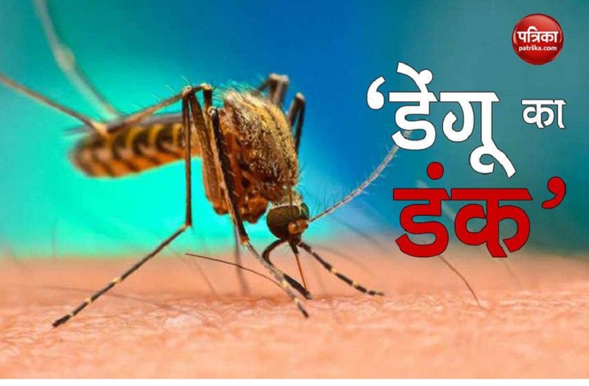 डेंगू के डंक का कहर