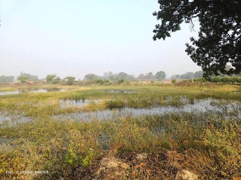 Pushkar dharohar yojna rewa