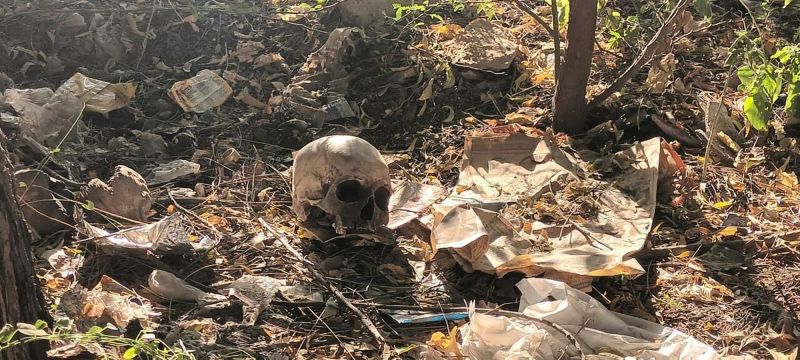 Skull found : झाडि़यों में मानव खोपड़ी मिलने से सनसनी