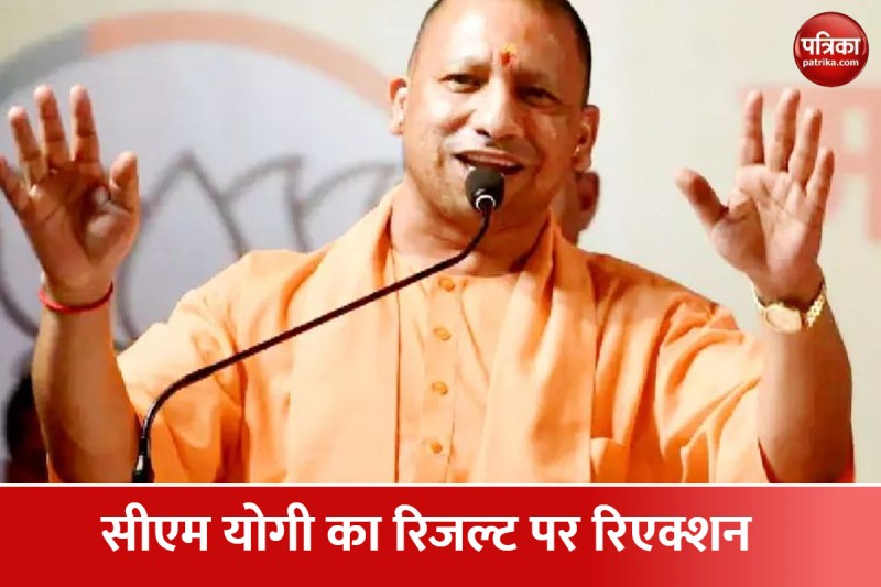 yogi.jpg