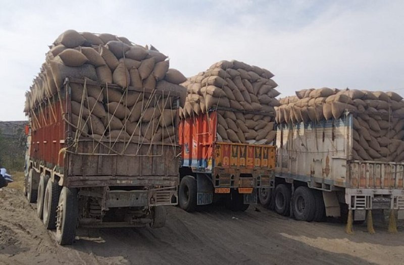 Illegal paddy seized