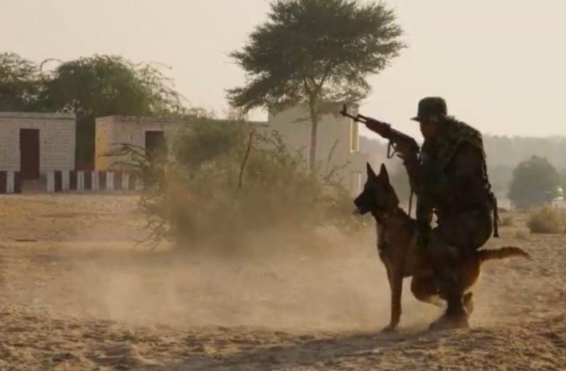 सूंघा...दौड़ा और जबड़े में जकड़ लिया आतंकी, ऐसा है डॉग स्क्वायड