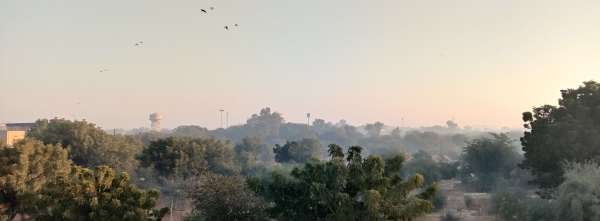 सर्द सुबह में जवां गड़ीसर का सौन्दर्य