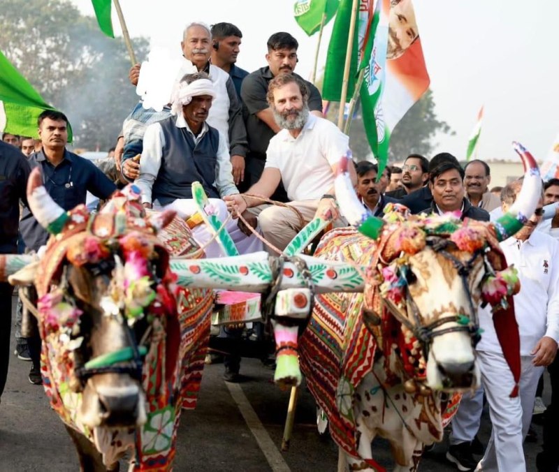 राहुल ने चलाई बैलगाड़ी तो गहलोत— पायलट ने किया एक साथ हवाई सफर