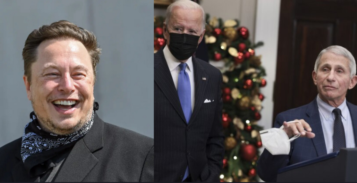elon_musk_makes_fun_of_joe_biden_and_anthony_fauci.jpg