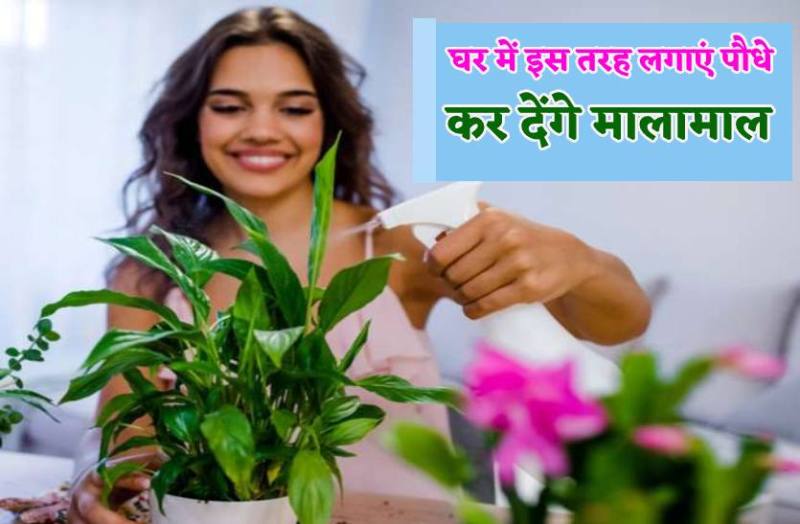 planting_vastu_tips.jpg